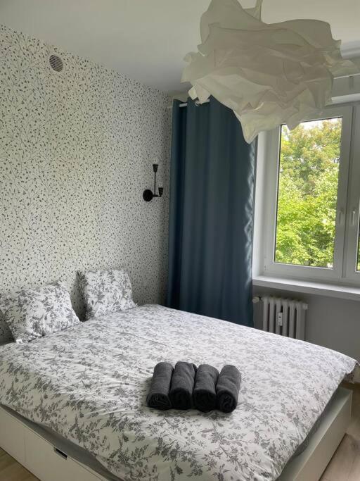Apartament Kattowitz Sokolska Екстер'єр фото